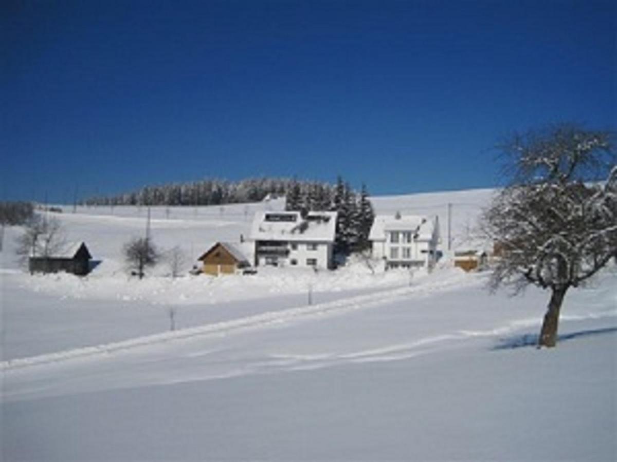 Apartamento Haus Janssen-Wehrle Titisee-Neustadt Exterior foto