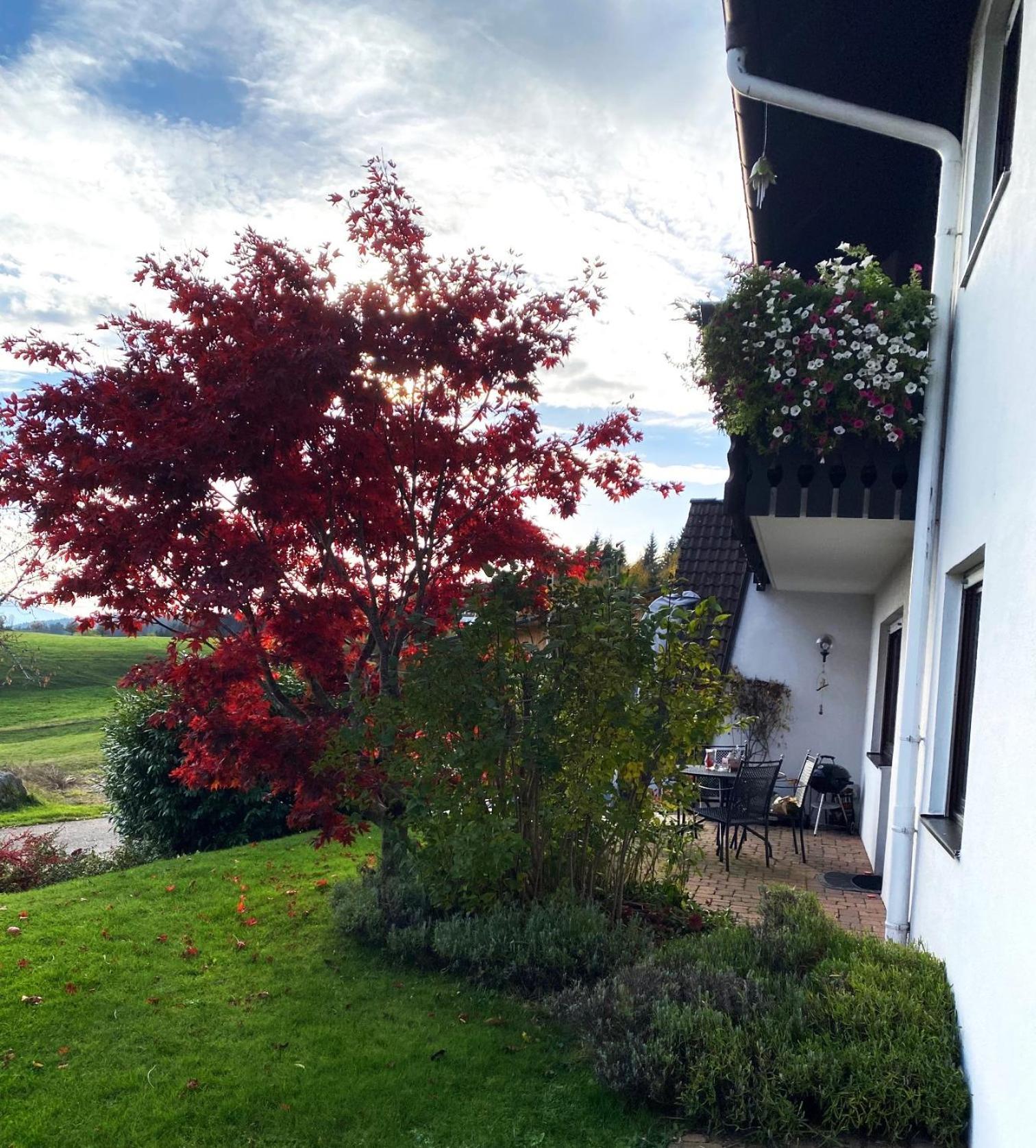 Apartamento Haus Janssen-Wehrle Titisee-Neustadt Exterior foto
